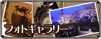 �t�H�g�M�������[